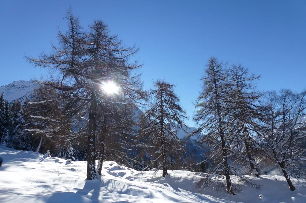 Schneeschuhwanderung zur Aifner Alm