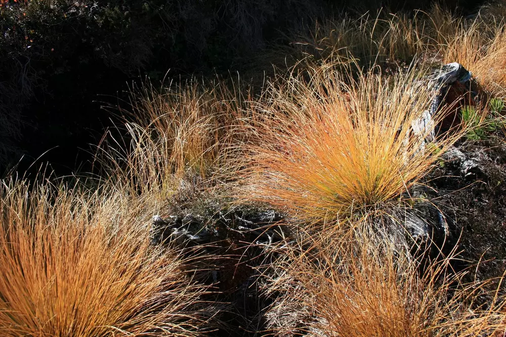 Moorlandschaft erforschen