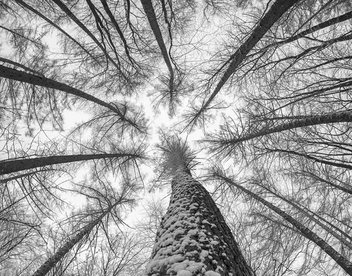 Winterwanderung Harbe