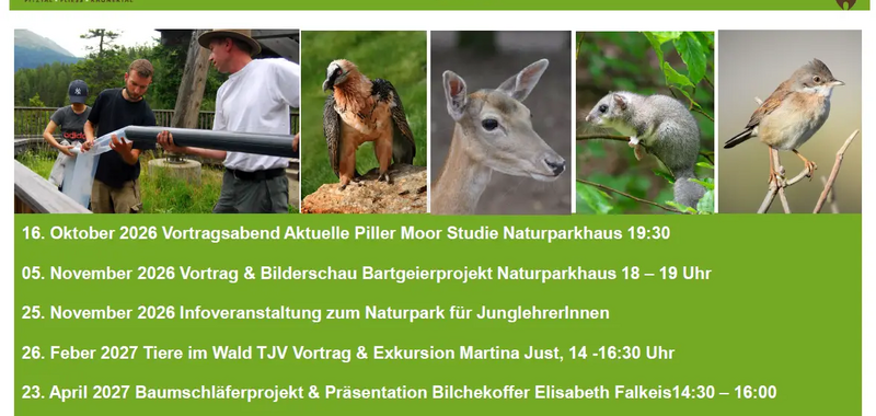 Bild ohne Titel