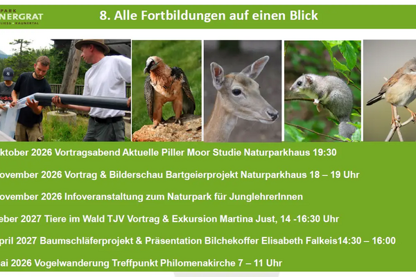 Bild ohne Titel