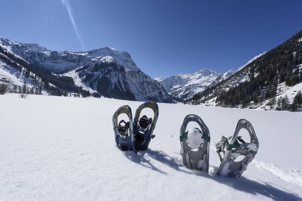Schneeschuhwanderung zur Gogles Alm