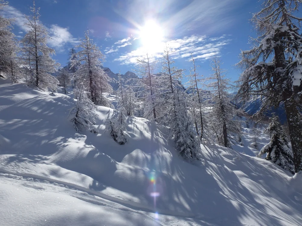 Winterwanderung Harbe