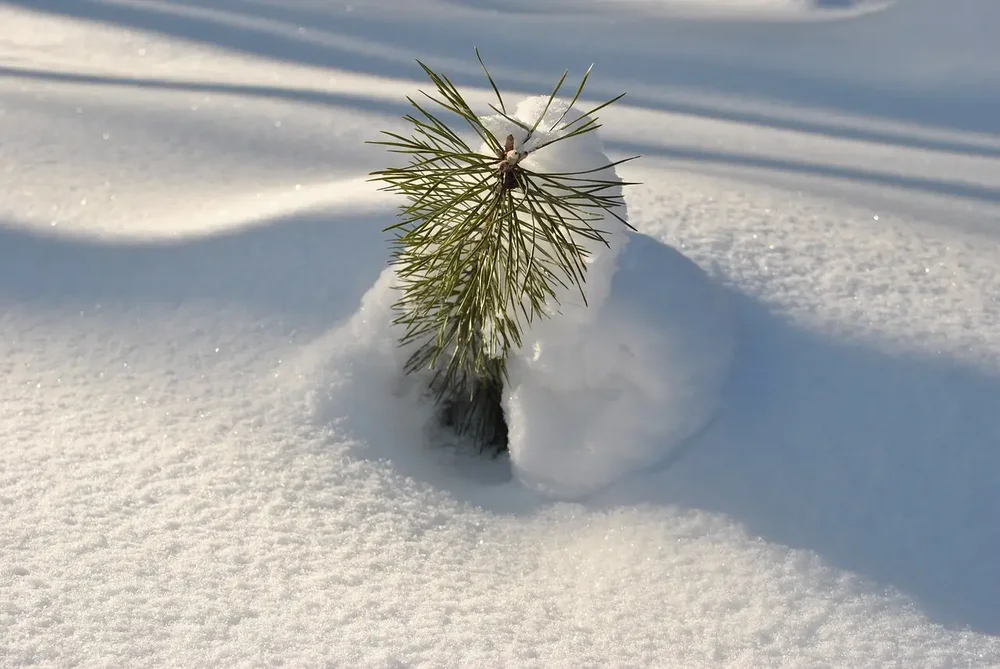 Winterwanderung Harbe