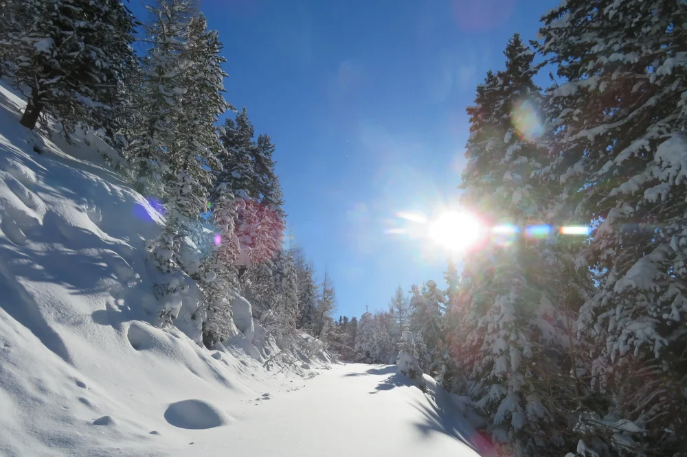 Winterwanderung Harbe