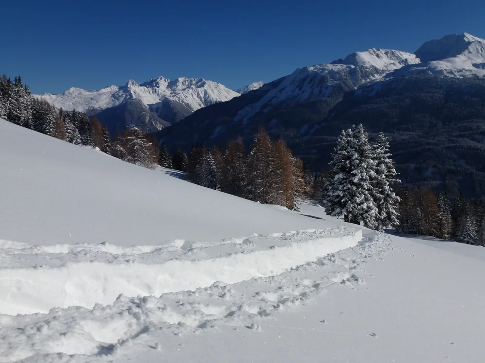Schneeschuhwanderung zur Gogles Alm