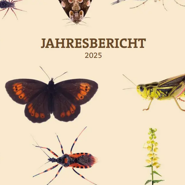 Bild ohne Titel