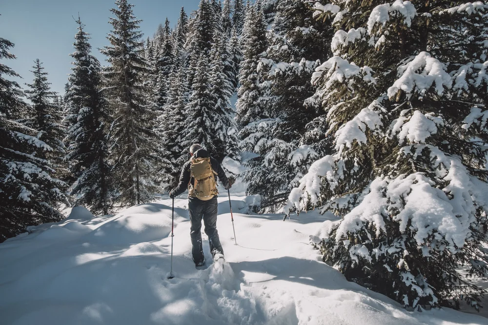 Schneeschuhwanderung zur Gogles Alm