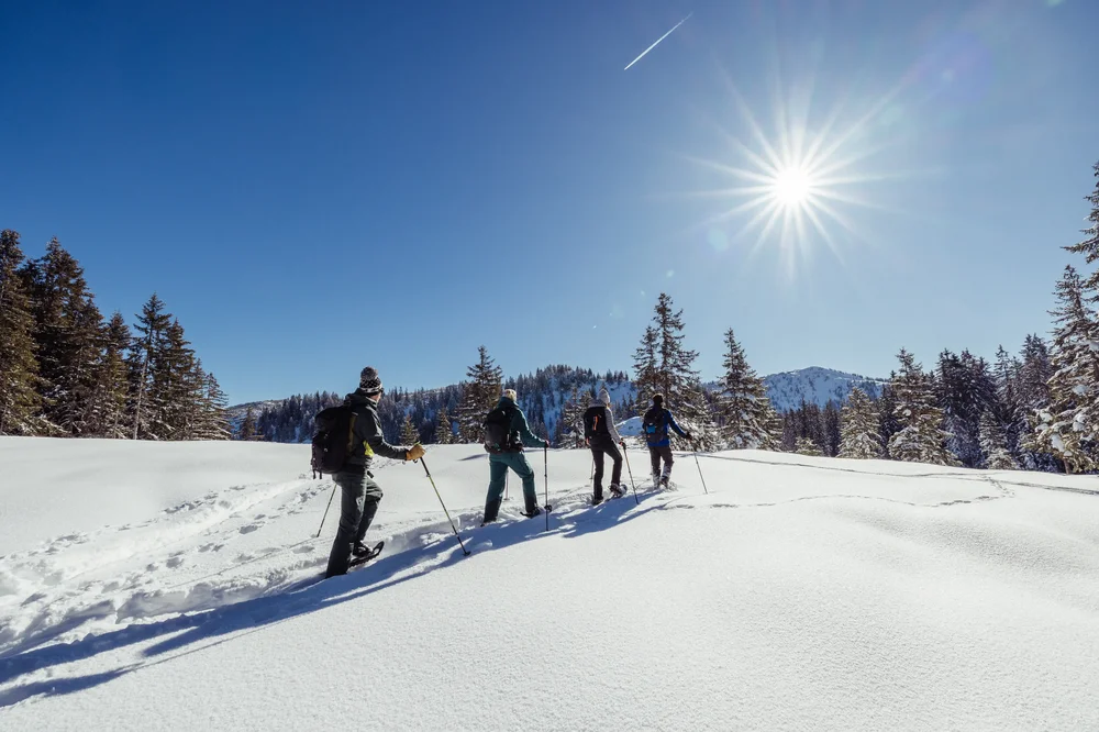 Schneeschuhwanderung zur Gogles Alm